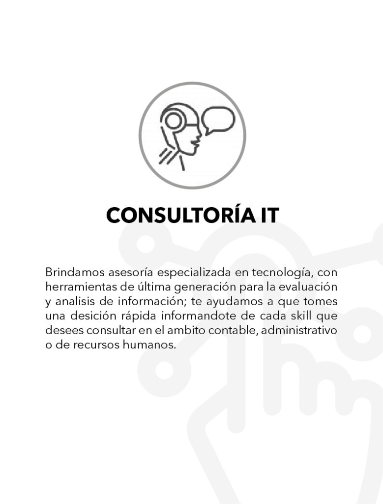 assesoria tecnologica-03